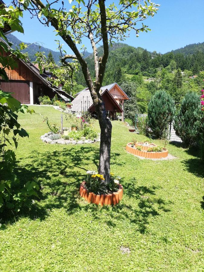 Soba Pri Bregarju Bohinj Exterior foto
