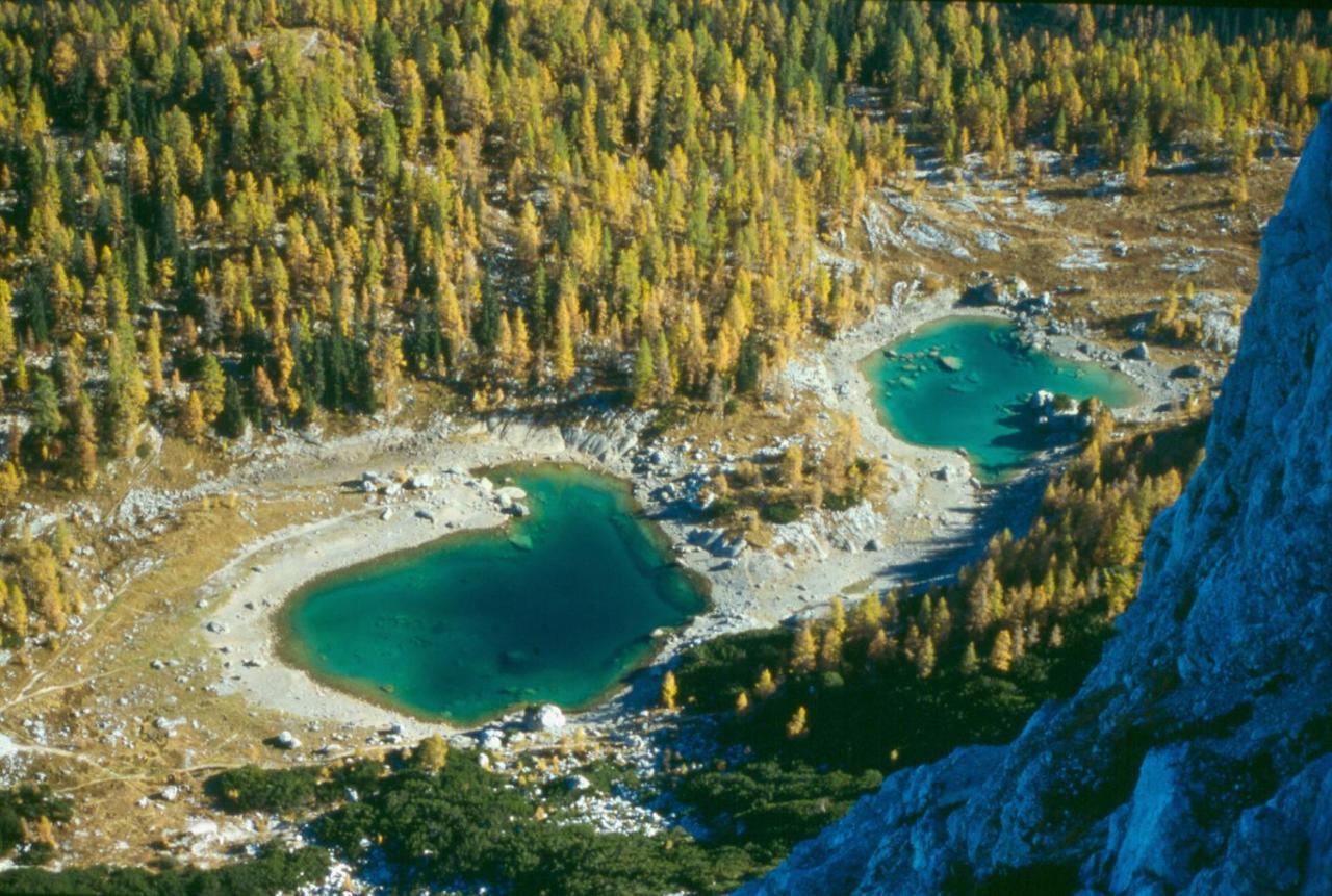 Soba Pri Bregarju Bohinj Exterior foto