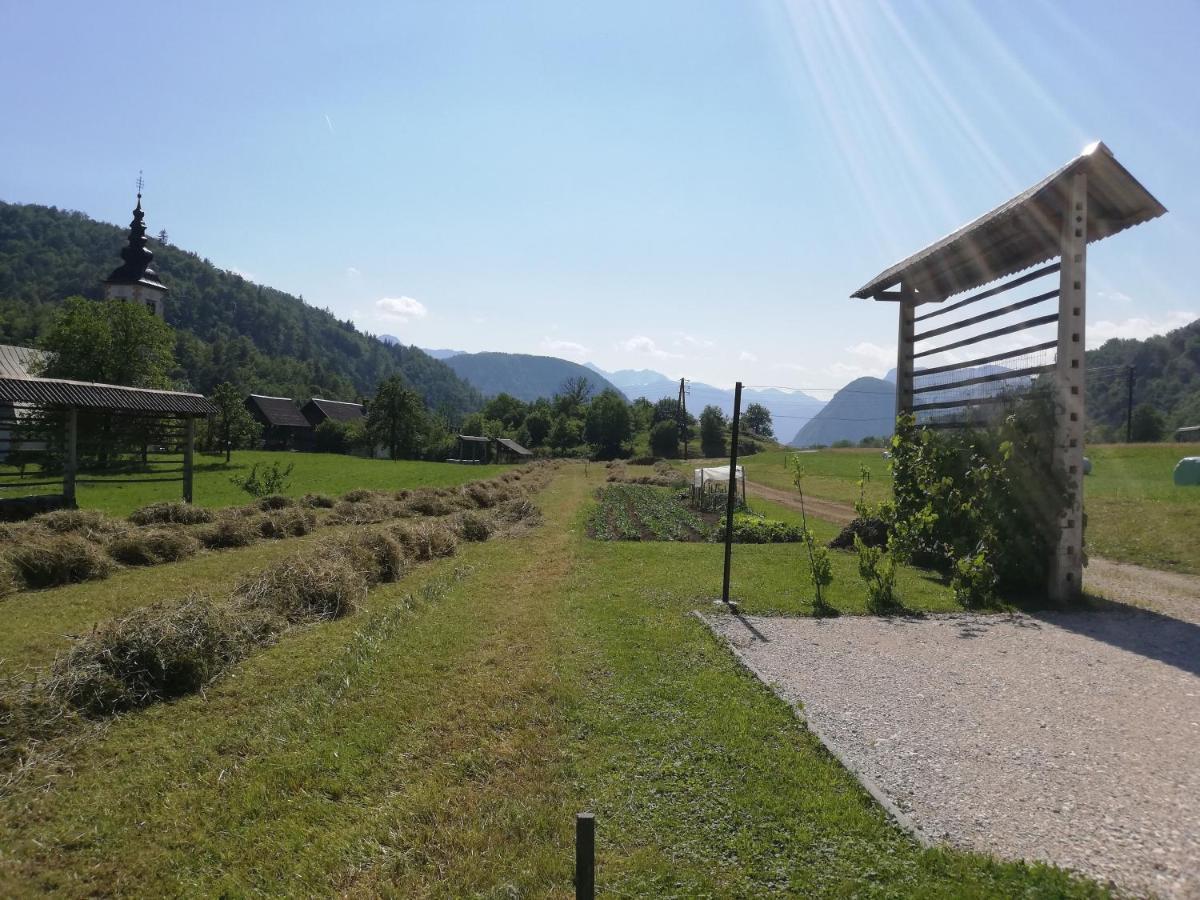 Soba Pri Bregarju Bohinj Exterior foto