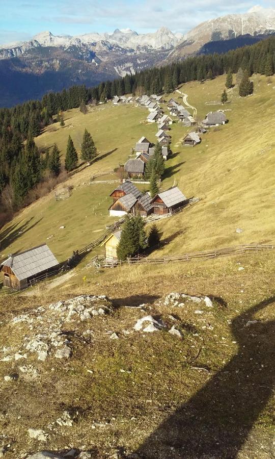 Soba Pri Bregarju Bohinj Exterior foto