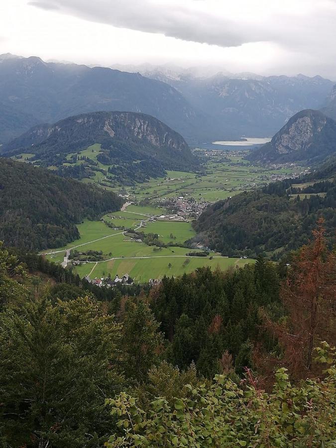 Soba Pri Bregarju Bohinj Exterior foto