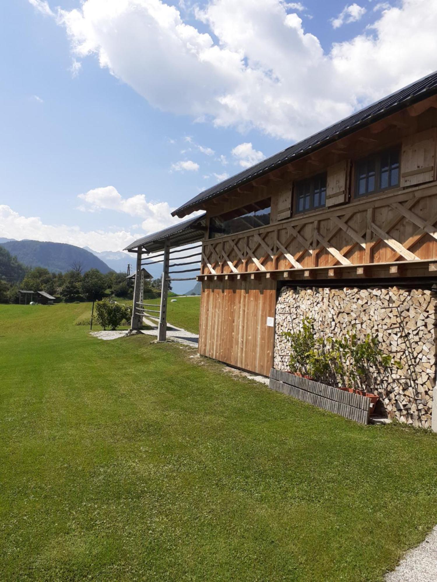 Soba Pri Bregarju Bohinj Exterior foto